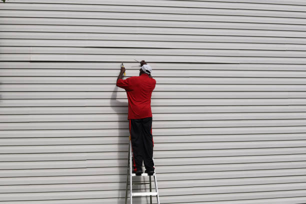 Best Vinyl Siding Installation  in Lincolnton, GA
