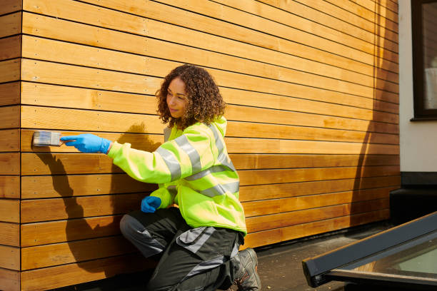 Best Siding Painting and Refinishing  in Lincolnton, GA